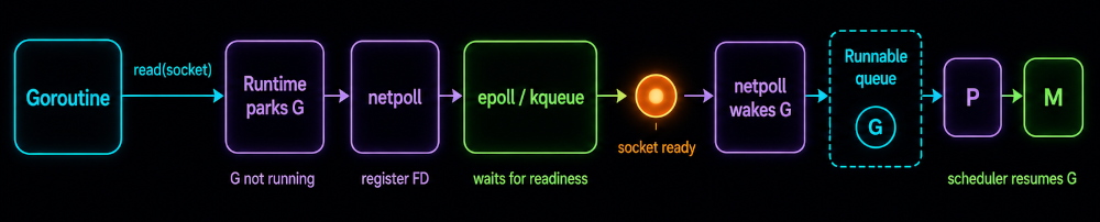 Diagram showing how Go parks a goroutine during network I/O, waits for socket readiness through netpoll and epoll or kqueue, then schedules the goroutine to run again